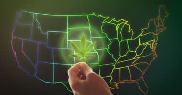 50% of Americans Have Experienced Cannabis