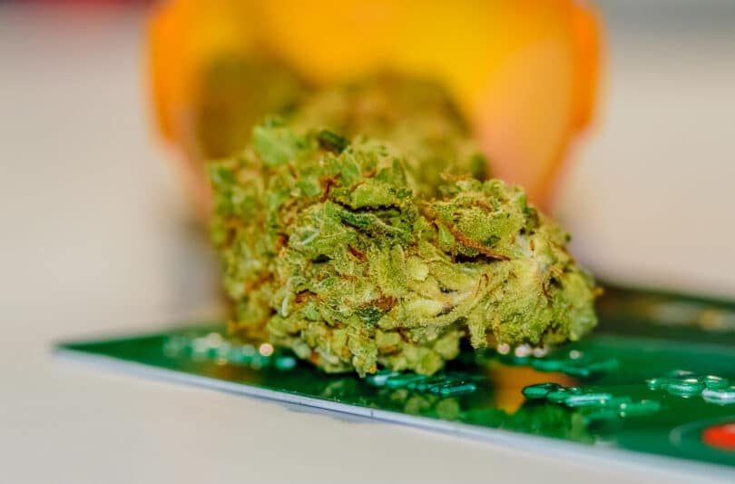 Cannabis sales now legal online in Colorado
