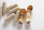 FunGuyz offers dried mushrooms, as well as pills and other products
