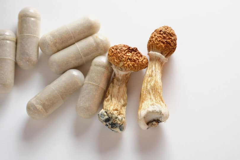 FunGuyz offers dried mushrooms, as well as pills and other products