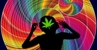New study says cannabis does not lead to psychosis
