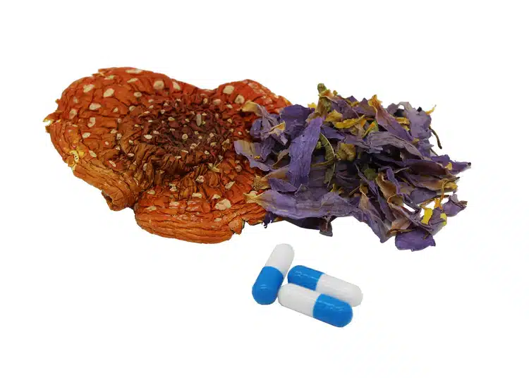 The Amanita Mushrooms and Blue Lotus Fusion - Capsules