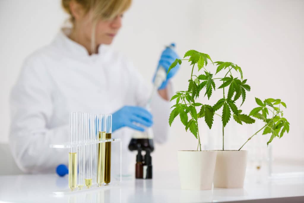 Lab-made cannabis products