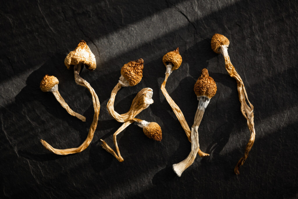 Magic mushrooms industry open in Oregon