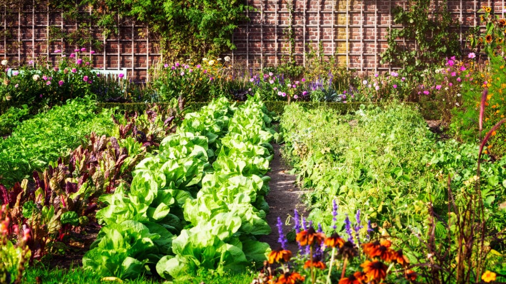 home garden