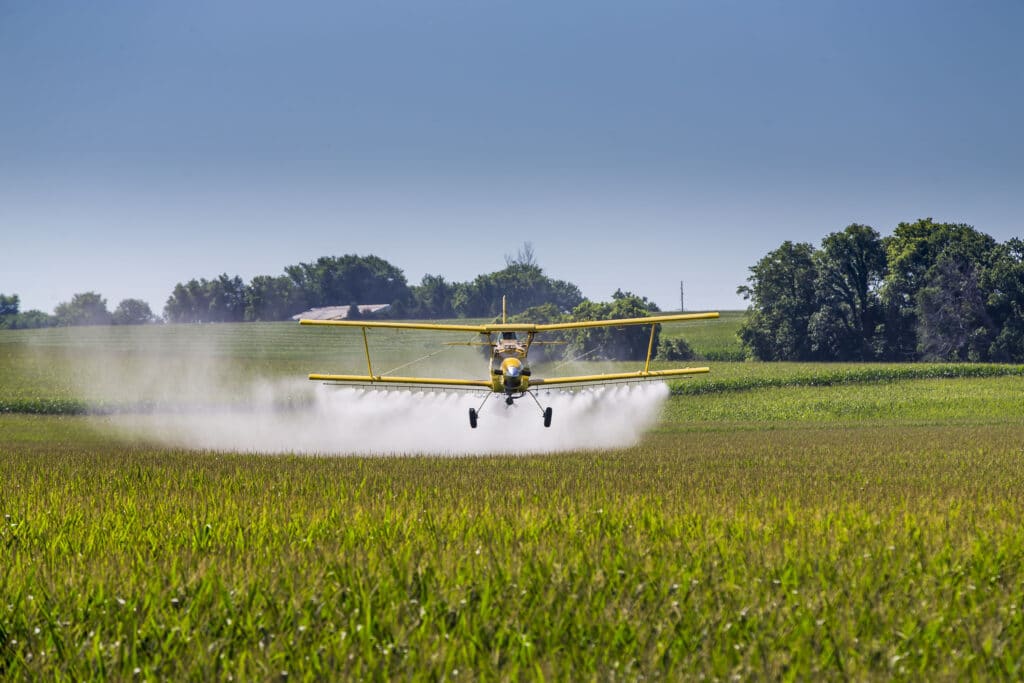 Crops can be sprayed to eradicate them
