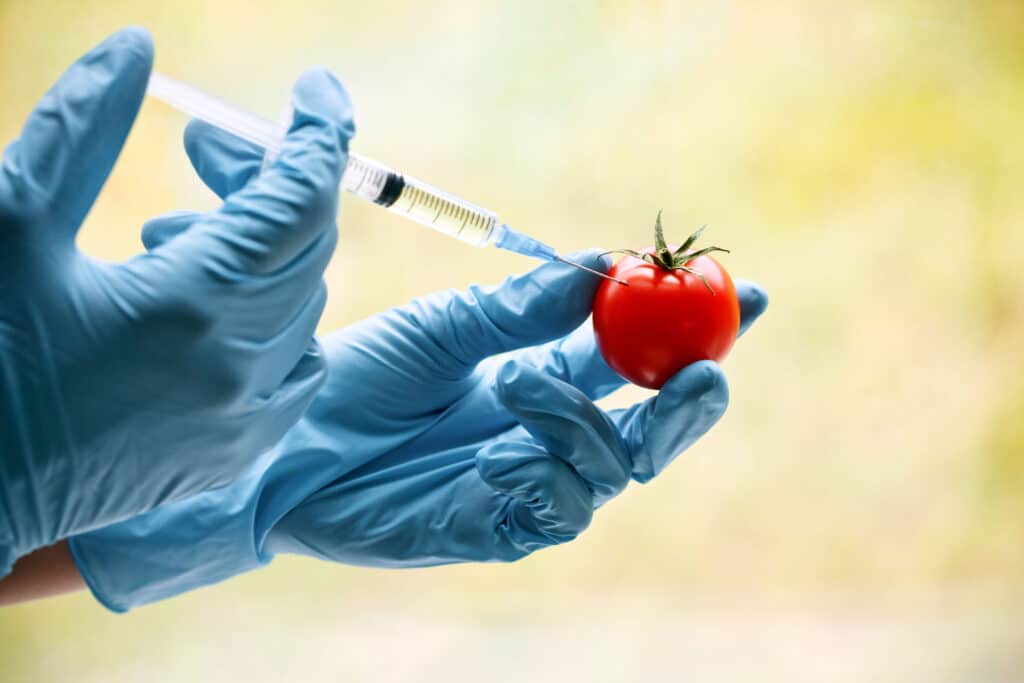 Genetic modification of our food runs rampant