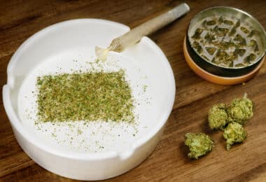 New attempt to retract South Dakota cannabis legalization