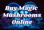 Buy magic mushrooms online - legal psychedelic mushrooms