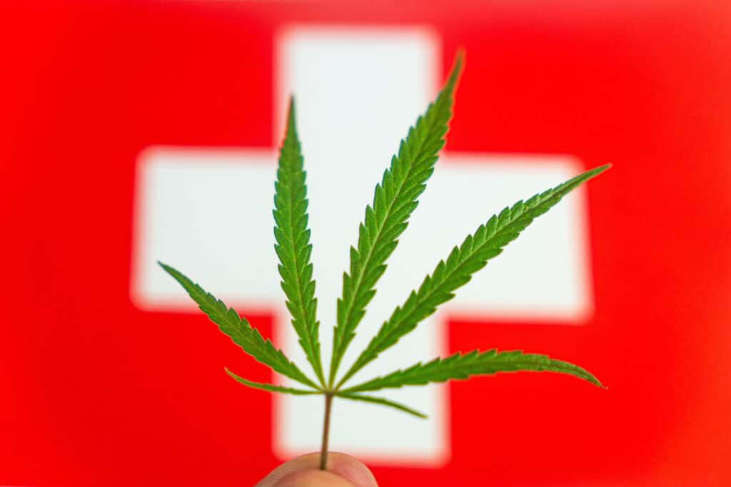 Switzerland pilot program provides legal weed