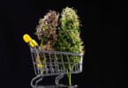 Switzerland offers legal weed for purchase via pilot program