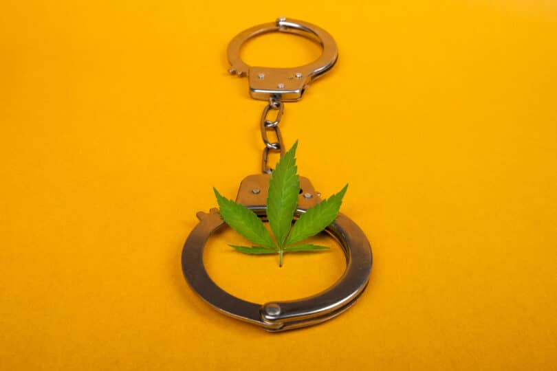 Recent arrest on budtender spawned controversy