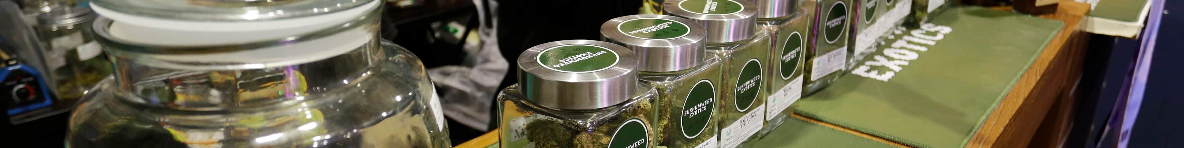 Cannabis loopholes in Thailand