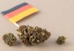 German government ready to vote on revised cannabis bill