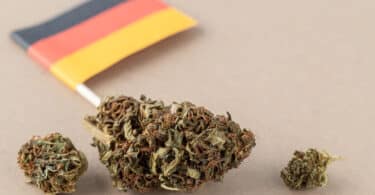 German government ready to vote on revised cannabis bill