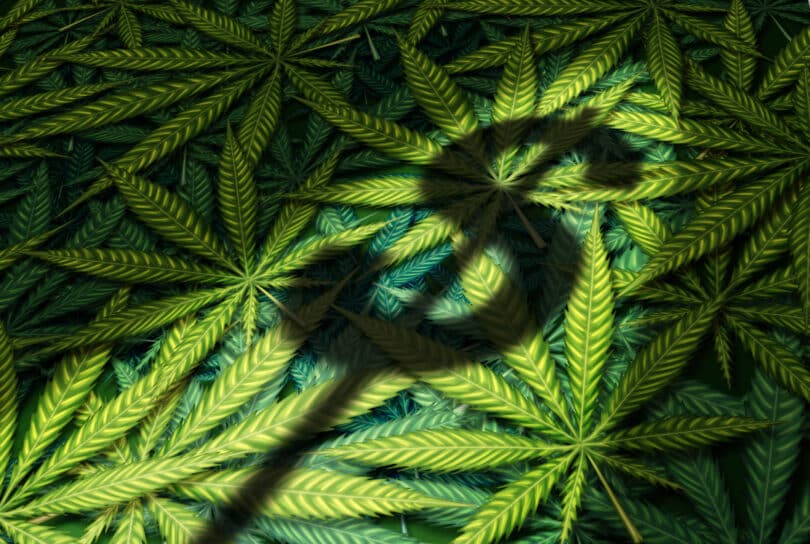 Green Wednesday 2023: Record-Breaking $9 Million in Cannabis Sales