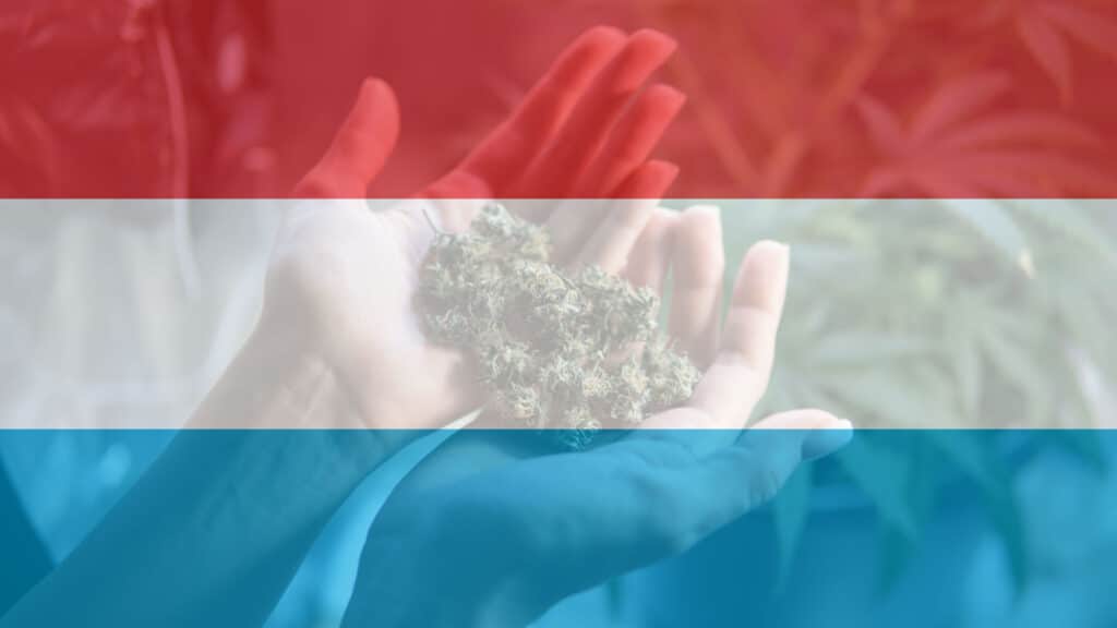 Luxembourg was the second EU country to legalize cannabis