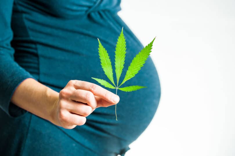Pregnant women can use marijuana in recreational states