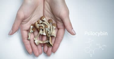 Psilocybin is a psychedelic compound of magic mushrooms