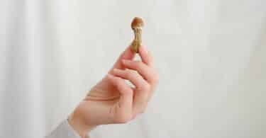 Single Dose of Psilocybin Reduces Depression Symptoms Up to 43 Days