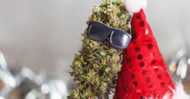 Check out ideas for marijuana Christmas decorations