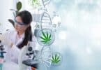 Decade of Cannabis Research: Over 32,000 Studies Refute Claims of Insufficient Data
