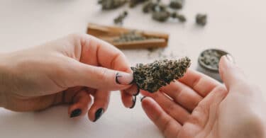 Study into teens and cannabis