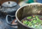 Ayahuasca and Harmine: A New Hope in Pain Management