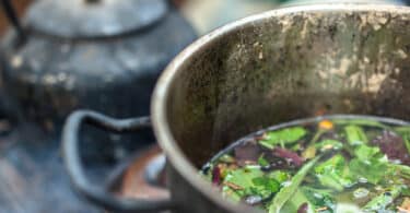 Ayahuasca and Harmine: A New Hope in Pain Management