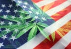 DEA Reviews Marijuana as a Schedule 1 Drug