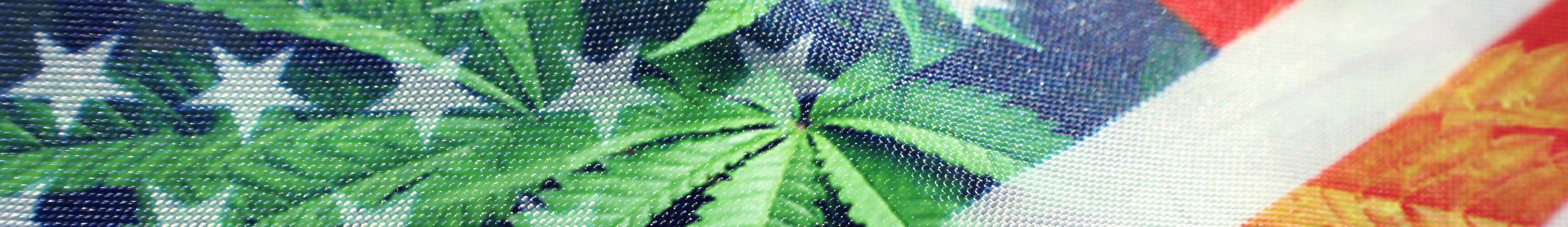 DEA Reviews Marijuana as a Schedule 1 Drug