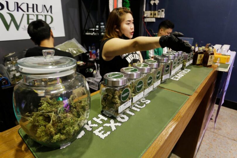 Thailand New Medical Cannabis Bill A Move to Curb Recreational Use and Tighten Regulations