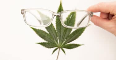 The glaucoma cannabis debate