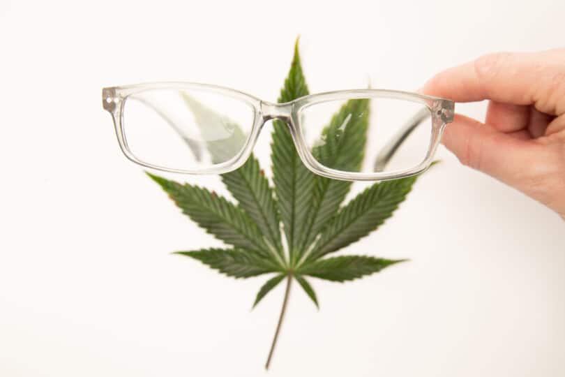 The glaucoma cannabis debate