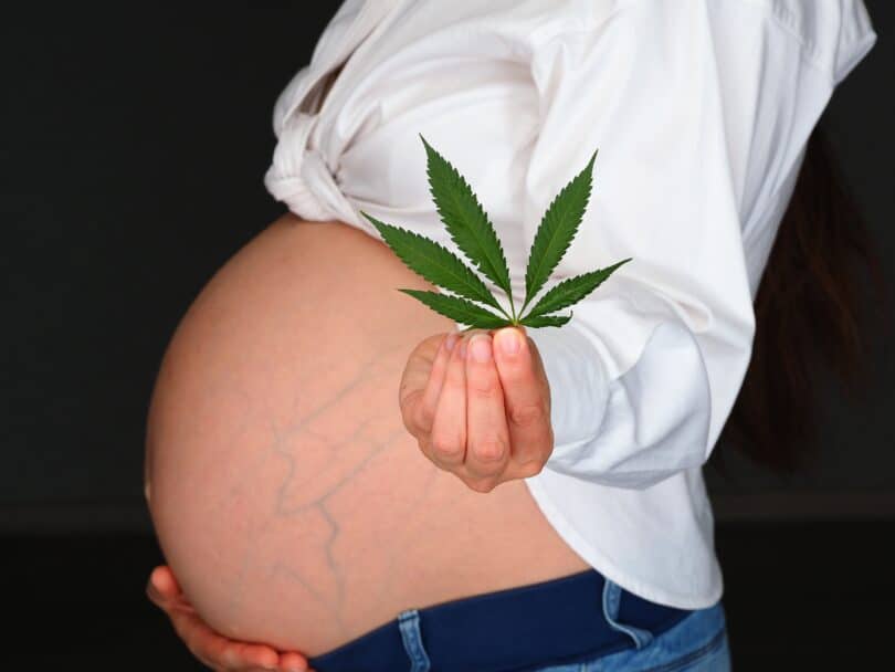 CBD in Pregnancy Linked to Reduced Heart Function in Male Offspring