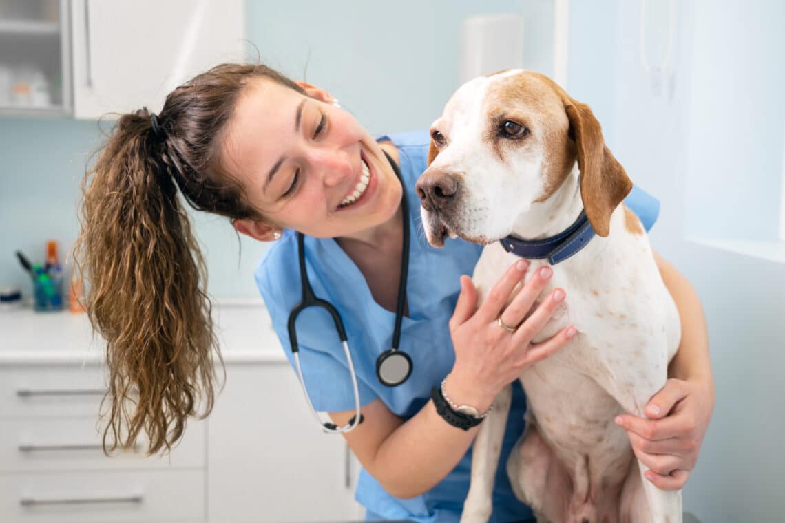 Veterinary Medicine Turns to Cannabis: Treating Animals with CBD and THC