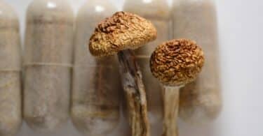 Legal Psilocybin Capsules