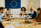 EU Launched Cannapol - Cannabis Policy Toolkit