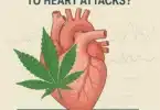 Is Cannabis Smoking Linked to Heart Attacks