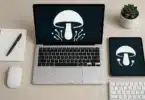 Psilocybin Gains Momentum in Silicon Valley’s Tech Circles