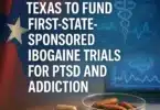 Texas to Fund Ibogaine Trials for PTSD and Addiction