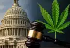 Trump Budget Proposal Threatens State Medical Cannabis