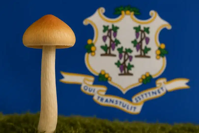 Will Connecticut Decriminalize Psilocybin Possession