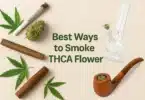 Best Ways to Smoke THCA Flower Joints, Bongs, Blunts, and More