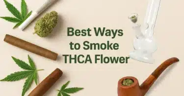 Best Ways to Smoke THCA Flower Joints, Bongs, Blunts, and More