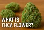What Is THCA Flower