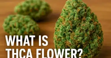 What Is THCA Flower