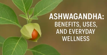 Ashwagandha Benefits, Uses, and Everyday Wellness