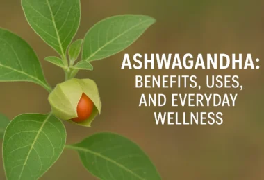 Ashwagandha Benefits, Uses, and Everyday Wellness