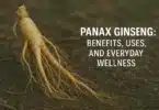 Panax Ginseng Benefits, Uses, and Everyday Wellness